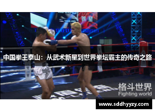 中国拳王泰山：从武术新星到世界拳坛霸主的传奇之路