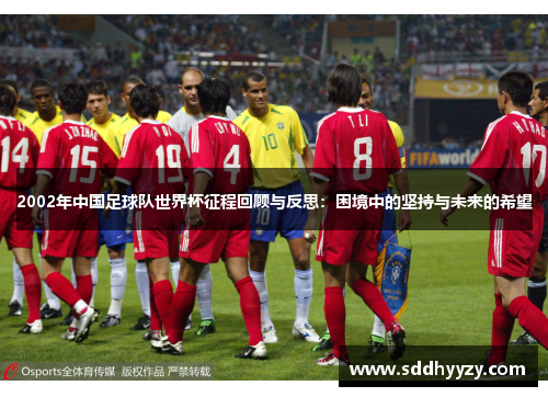 2002年中国足球队世界杯征程回顾与反思：困境中的坚持与未来的希望