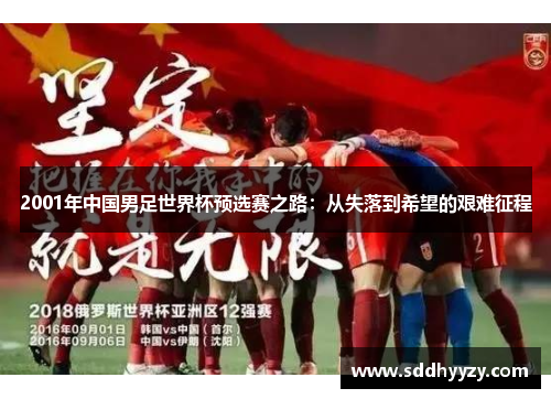 2001年中国男足世界杯预选赛之路：从失落到希望的艰难征程