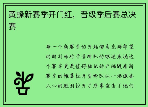黄蜂新赛季开门红，晋级季后赛总决赛